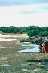 1_Atollo_di_Aldabra_18