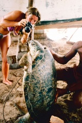 Atollo_di_Aldabra_25