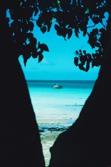 Atollo_di_Aldabra_26