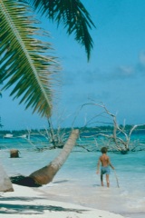 Atollo_di_Aldabra_27