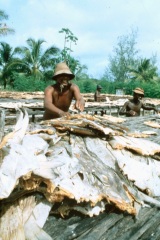 Atollo_di_Aldabra_9